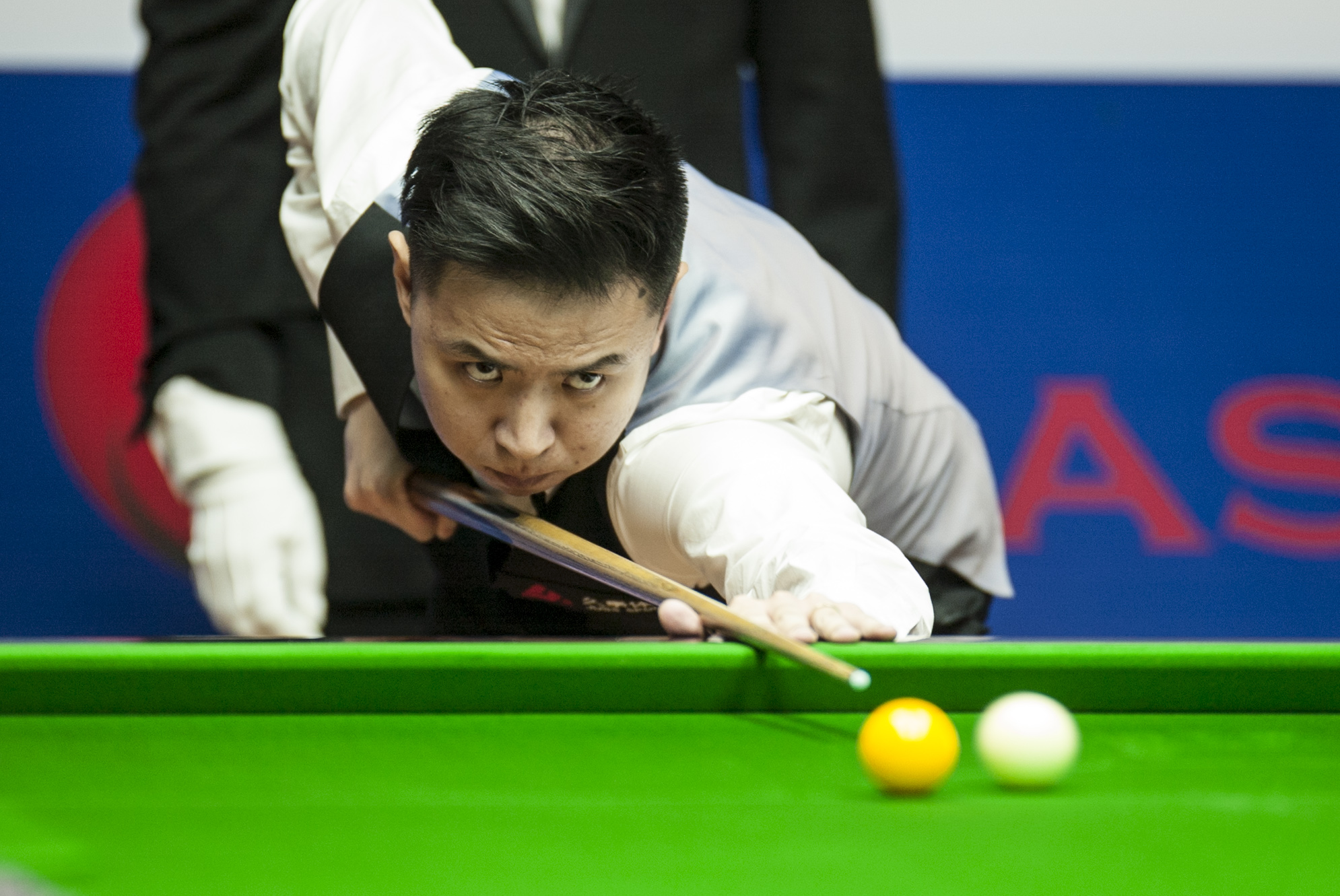 因为全程没 因为全程没